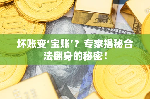 济南坏账变‘宝账’？专家揭秘合法翻身的秘密！