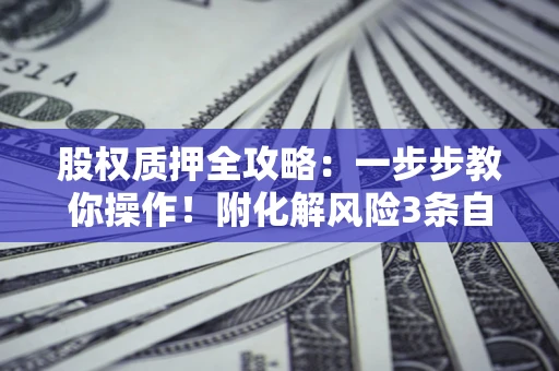 济南股权质押全攻略：一步步教你操作！附化解风险3条自救法则