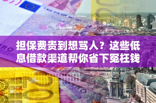 济南担保费贵到想骂人？这些低息借款渠道帮你省下冤枉钱