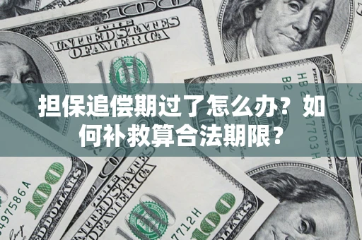 济南担保追偿期过了怎么办？如何补救算合法期限？