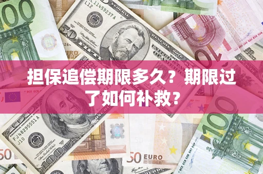 济南担保追偿期限多久？期限过了如何补救？
