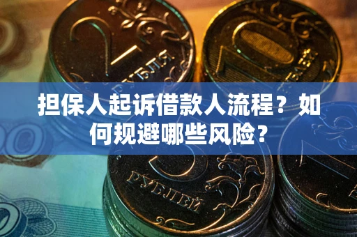 济南担保人起诉借款人流程？如何规避哪些风险？