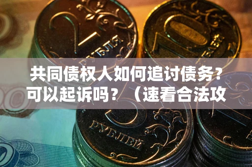 济南共同债权人如何追讨债务？可以起诉吗？（速看合法攻略）